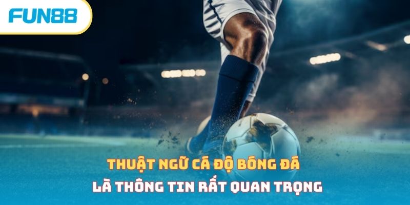 Thuật ngữ cá độ bóng đá